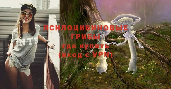 мяу мяу мука Беломорск