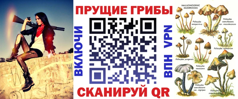 закладки  Шагонар  Галлюциногенные грибы MAGIC MUSHROOMS 